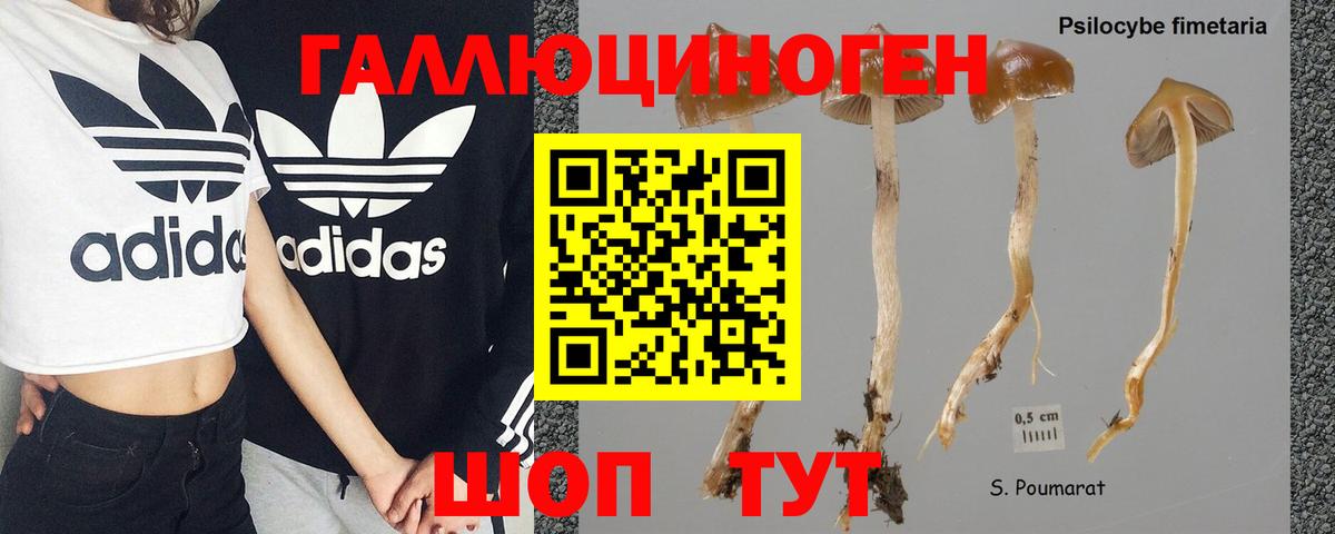 Псилоцибиновые грибы мицелий Дюртюли
